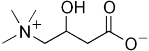 L-carnitine