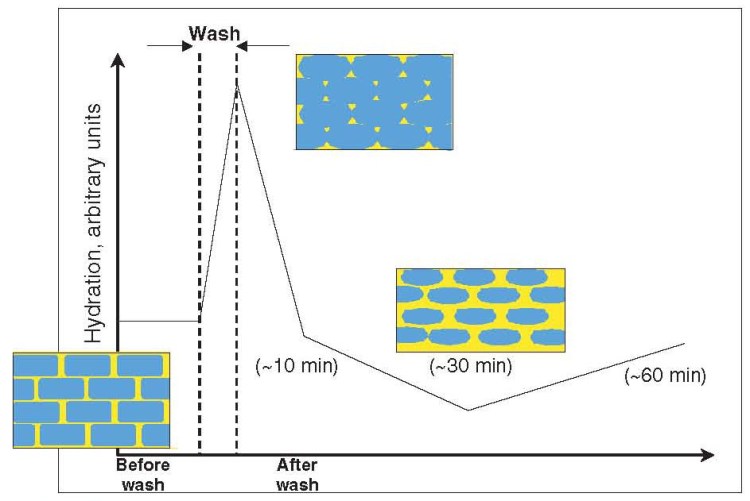 The skin knows how to repair itself. But with an increased pH, a reduction of both lipid and protein content, the lag time will grow longer and longer.